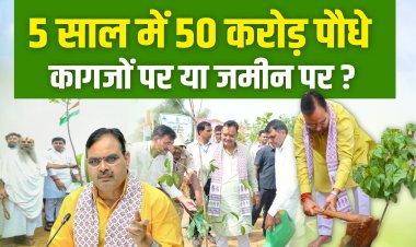 सरकार : करोड़ों पौधे लगाएंगे हकीकत : पुराने पेड़ भी कट रहे