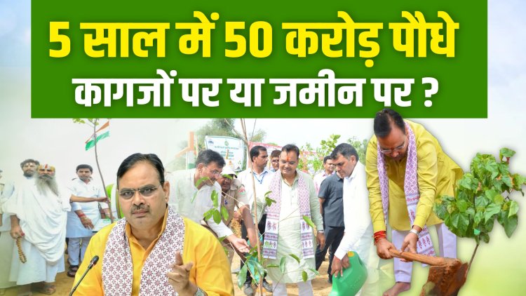 सरकार : करोड़ों पौधे लगाएंगे हकीकत : पुराने पेड़ भी कट रहे