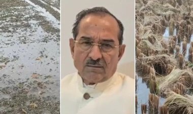 राजस्थान में बेमौसम बारिश से नुकसान हुआ तो मिलेगा मुआवजा, मदन राठौड़ ने किसानों को दी ‘गारंटी’   