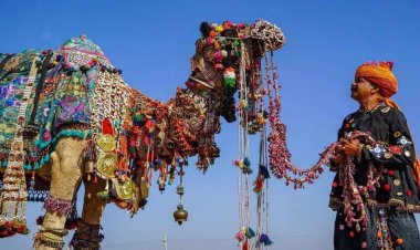 पुष्कर पशु मेले में करोड़ों के भैंसे और घोड़े चमके, ऊंटों के बाजार में छाई निराशा