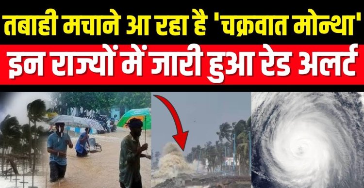 चक्रवात मोन्था तूफान में बदला, आज शाम काकीनाडा से टकराएगा, 5 मीटर ऊंची लहरें उठेंगी