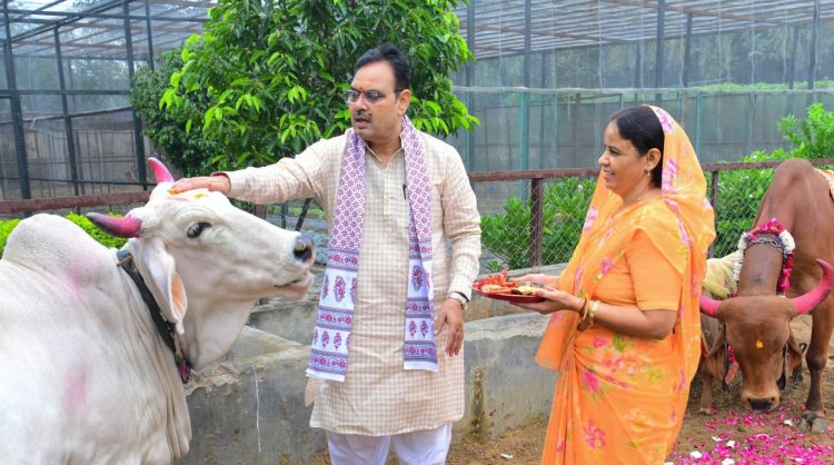 गोपाष्टमी पर CM भजनलाल शर्मा ने किया गौपूजन, प्रदेश की सुख-समृद्धि की कामना