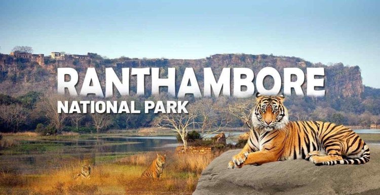 बस ‘एक क्लिक’ दूर टाइगर सफारी, रणथंभौर टाइगर रिजर्व की पूरी टिकट बुकिंग हुई डिजिटल