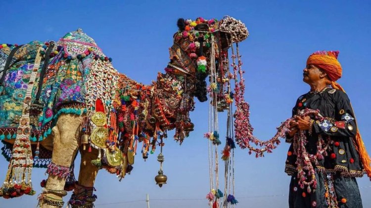 पुष्कर पशु मेले में करोड़ों के भैंसे और घोड़े चमके, ऊंटों के बाजार में छाई निराशा