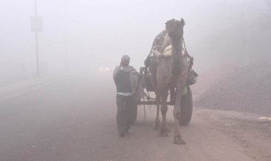 राजस्थान में अब कड़ाके की ठंड का इंतजार, कई जिलों में छाया घना कोहरा