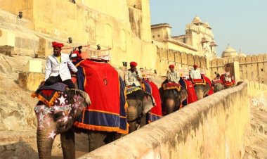 आमेर महल में हाथी सवारी आज बंद, लाइट एंड साउंड शो भी रद्द, जानें पूरी वजह