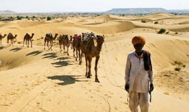 राजस्थान में सर्दी का सितम शुरू, फतेहपुर में पारा 6.9°C तक लुढ़का, शेखावाटी ठिठुरा