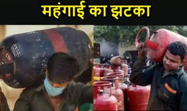 बजट से पहले 'महंगाई का हंटर': कमर्शियल LPG सिलेंडर में एक महीने में दोहरी चोट, लेकिन बजट में मध्यम वर्ग को कुछ नहीं मिला