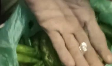 जोधपुर–हैदराबाद बस रूट पर नशे की नई खेप, हरी मिर्च की आड़ में स्मैक–एमडी की तस्करी का खुलासा