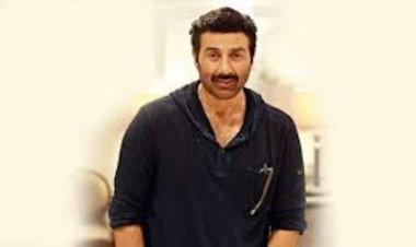 सनी देओल की अंडररेटेड फिल्में: दमदार परफॉर्मेंस के बावजूद बॉक्स ऑफिस पर नहीं चला जादू