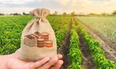 जानिए राजस्थान को क्या मिला इस बार बजट में: किसानों को बिना ब्याज कर्ज, 35 लाख लाभार्थी, फ्री इलाज और युवाओं के लिए 10 लाख तक का लोन