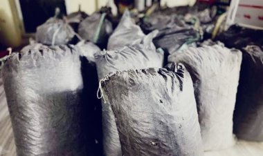 जोधपुर में 46 किलो डोडा पोस्त बरामद, पुलिस ने तस्कर को दबोचा