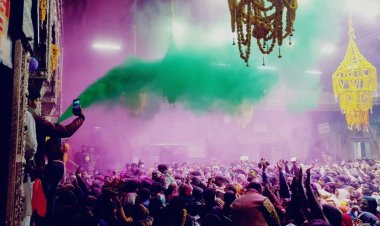 वृंदावन में रंगभरी एकादशी पर उमड़ा आस्था का सैलाब, ब्रज में होली उत्सव की हुई भव्य शुरुआत