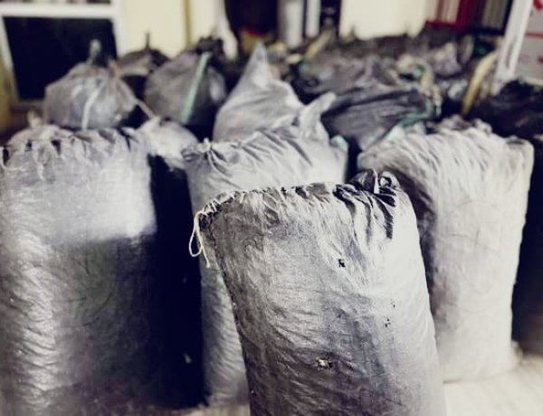 जोधपुर में 46 किलो डोडा पोस्त बरामद, पुलिस ने तस्कर को दबोचा