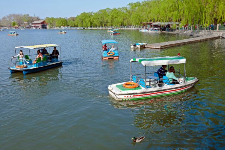 Maotha Lake Boating: आमेर के मावठा झील में शुरू होगी कश्मीरी स्टाइल शिकारा बोटिंग, 20 फरवरी से मिलेगा नया अनुभव