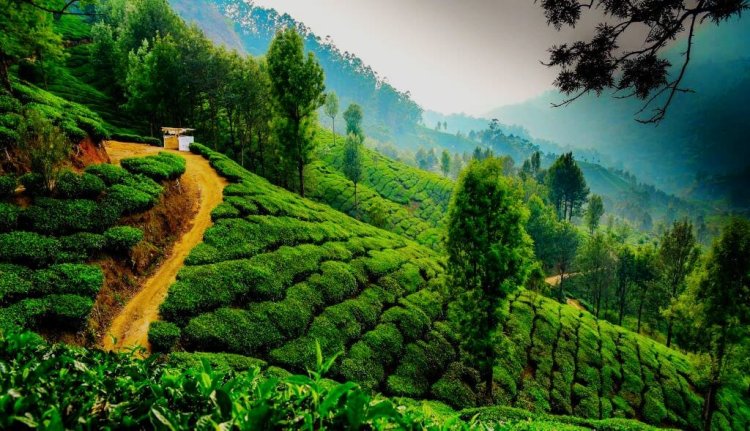 कम पैसों में बड़ी छुट्टियां, भारत के छुपे हुए विदेशी ठिकाने