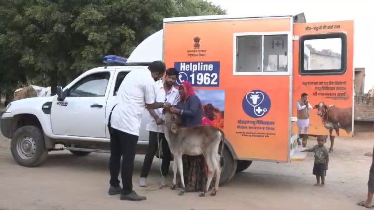 Rajasthan Mobile Veterinary Unit Yojana: 61 लाख से अधिक पशुओं का Free Treatment, 1962 हेल्पलाइन से घर-घर इलाज