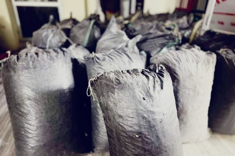 जोधपुर में 46 किलो डोडा पोस्त बरामद, पुलिस ने तस्कर को दबोचा