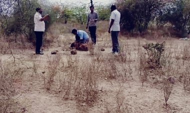 नागौर में दिल दहला देने वाली वारदात, बुजुर्ग महिला की हत्या कर शव के टुकड़े झाड़ियों में फेंके