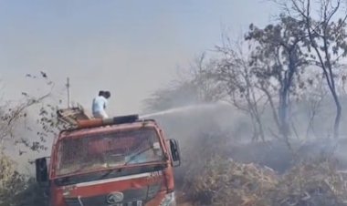 डूंगरपुर में जंगल में भीषण आग, 5 घंटे की मशक्कत के बाद काबू; बड़ा हादसा टला