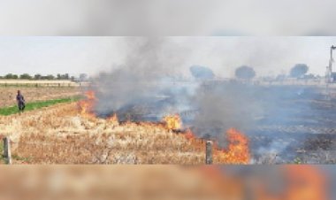 कोटा में 150 बीघा गेहूं की फसल जलकर राख, कटाई से पहले किसानों पर टूटा कहर