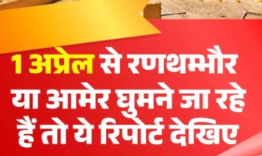 1 अप्रेल से रणथम्भौर या आमेर घुमने जा रहे हैं, तो पढ़ें ये खबर
