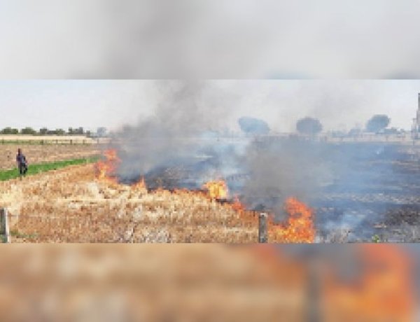 कोटा में 150 बीघा गेहूं की फसल जलकर राख, कटाई से पहले किसानों पर टूटा कहर