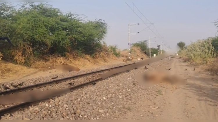 जैसलमेर में लीलण एक्सप्रेस की चपेट में 6 ऊंटों की मौत, रेल 30 मिनट तक रुकी