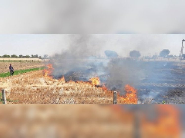 कोटा में 150 बीघा गेहूं की फसल जलकर राख, कटाई से पहले किसानों पर टूटा कहर