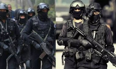 एक चूजा… और Z+ जैसी सुरक्षा , गोडावण के जन्म ने फिर जगा दी उम्मीद