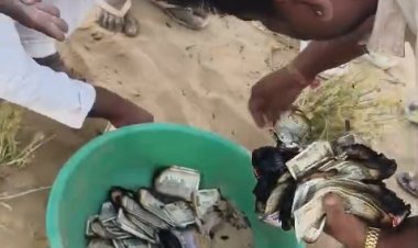 बाड़मेर शिव में बड़ा हादसा: 6 लाख कैश और जेवर आग में राख, किसान की 4 महीने की मेहनत खाक