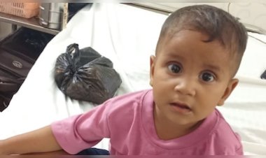 डीग में दर्दनाक हादसा: तेज रफ्तार कार की टक्कर से 3 साल की बच्ची की मौत, महिला गंभीर