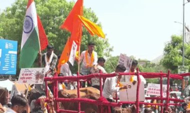 राजस्थान में गौवंश के सम्मान में महारैली, हजारों साधु-संत सड़कों पर उतरे