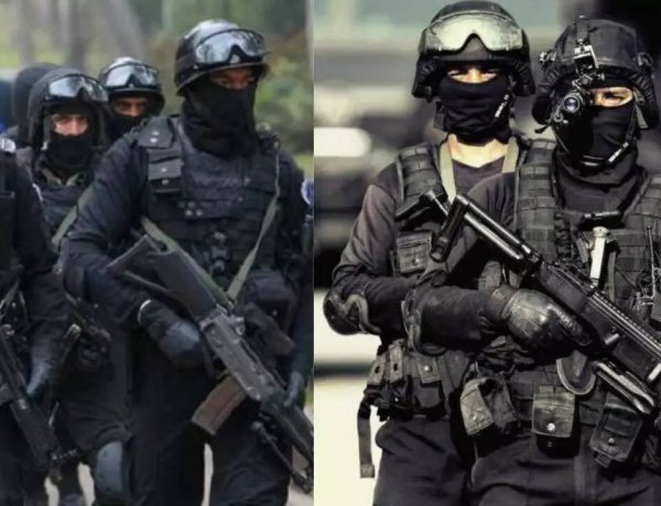 एक चूजा… और Z+ जैसी सुरक्षा , गोडावण के जन्म ने फिर जगा दी उम्मीद