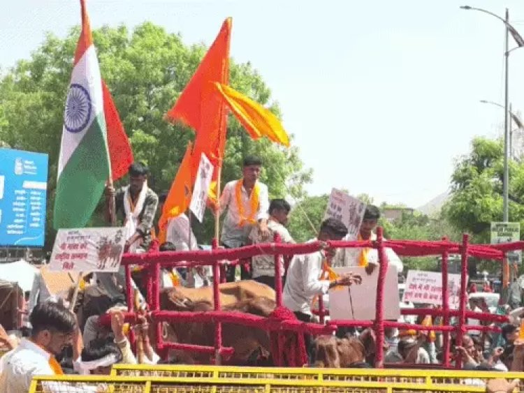 राजस्थान में गौवंश के सम्मान में महारैली, हजारों साधु-संत सड़कों पर उतरे