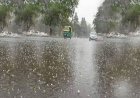 राजस्थान में मौसम का डबल अटैक, गर्मी के बीच बारिश और आंधी का अलर्ट