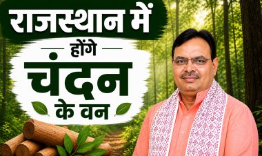 राजस्थान में होंगे 'चंदन' के वन, मंत्री संजय शर्मा ने किया निरीक्षण