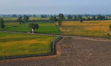 राजस्थान में फिर बढ़ सकती हैं DLC दरें, जमीन-फ्लैट खरीदना होगा महंगा