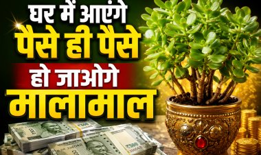 घर में आएंगे पैसे ही पैसे, हो जाओगे मालामाल