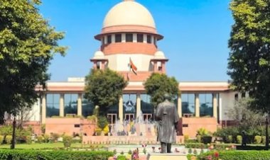 दिल्ली दंगा बड़ी साजिश मामला: सुप्रीम कोर्ट से तस्लीम अहमद और खालिद सैफी को अंतरिम जमानत