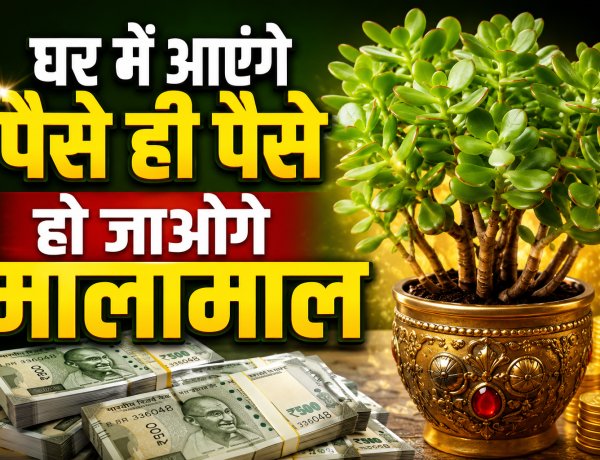 घर में आएंगे पैसे ही पैसे, हो जाओगे मालामाल