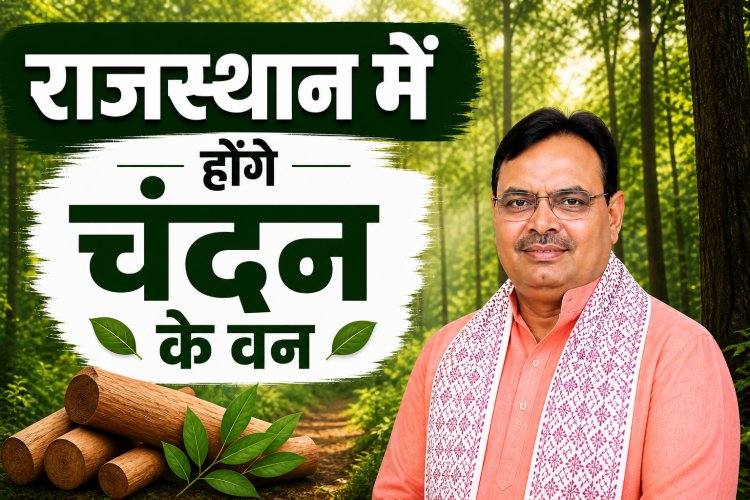 राजस्थान में होंगे 'चंदन' के वन, मंत्री संजय शर्मा ने किया निरीक्षण