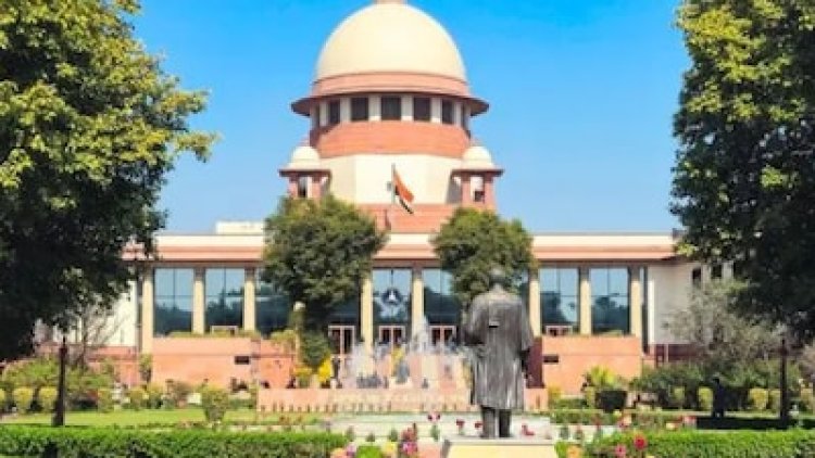 दिल्ली दंगा बड़ी साजिश मामला: सुप्रीम कोर्ट से तस्लीम अहमद और खालिद सैफी को अंतरिम जमानत