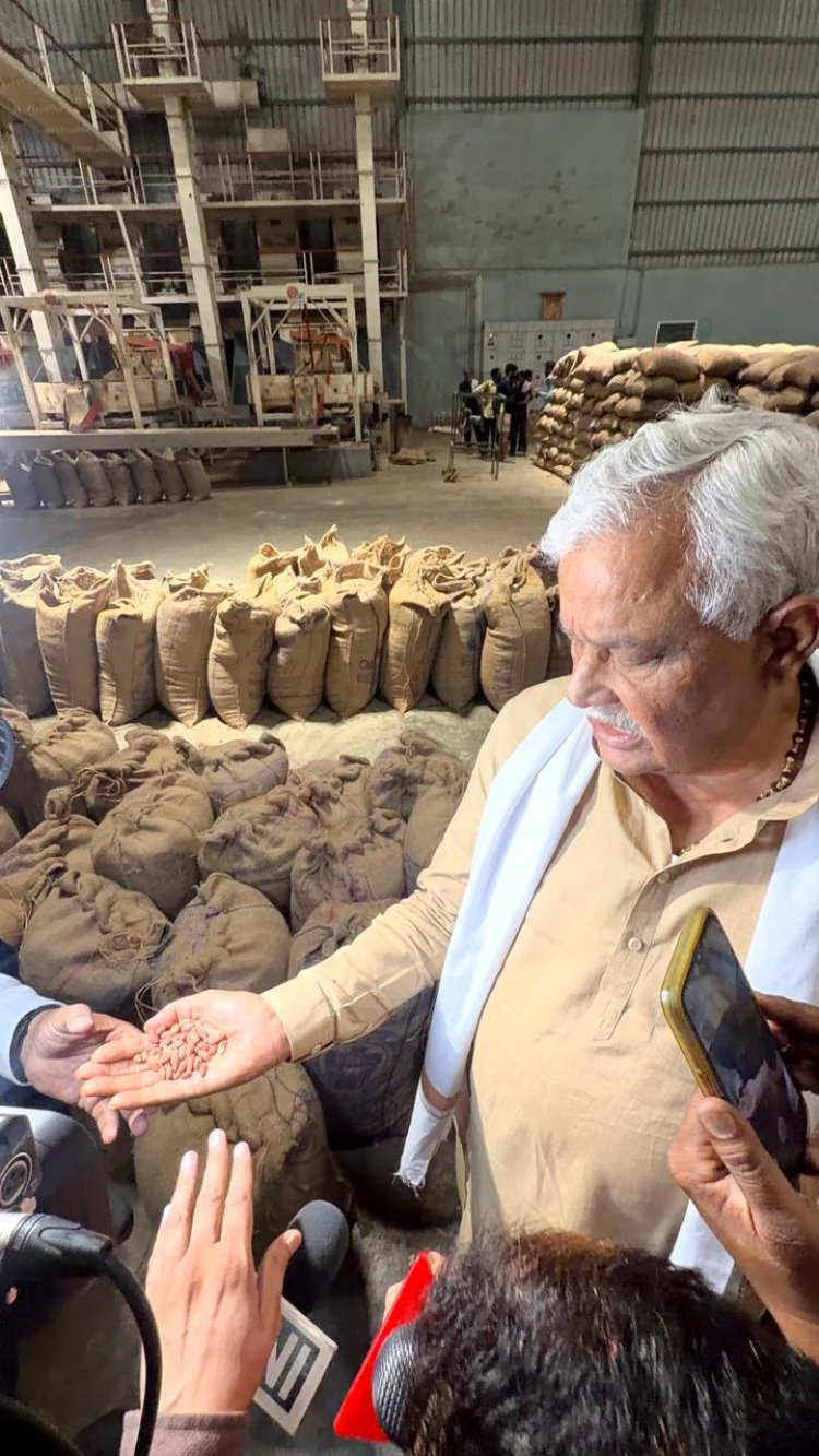 राजस्थान में बीज माफियाओं पर सरकार का बड़ा प्रहार, चौमूं में नकली बीज फैक्ट्रियों पर छापा