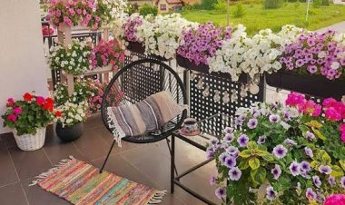 Balcony Vastu Tips: बालकनी में लगाएं ये 5 पौधे, घर में बढ़ेगी सुख-समृद्धि और धन का आगमन