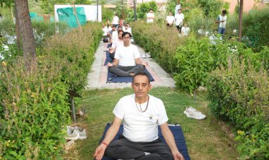 धन्वंतरि उपवन बना योग का केंद्र: 500 से अधिक चिकित्सक, विद्यार्थी और शोधार्थी योग साधना में हुए शामिल