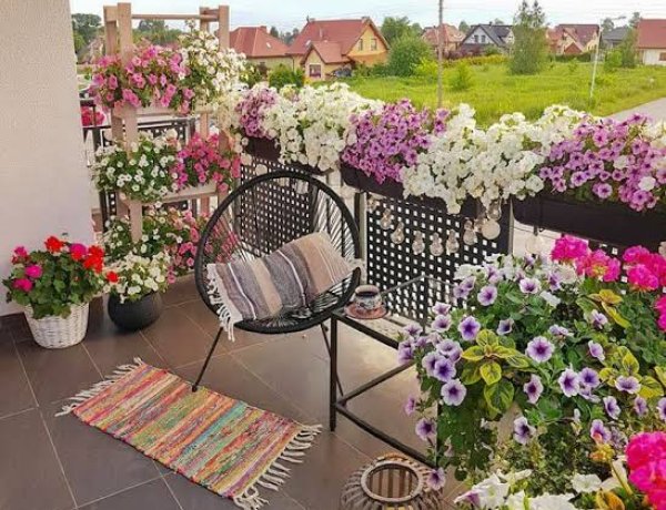 Balcony Vastu Tips: बालकनी में लगाएं ये 5 पौधे, घर में बढ़ेगी सुख-समृद्धि और धन का आगमन