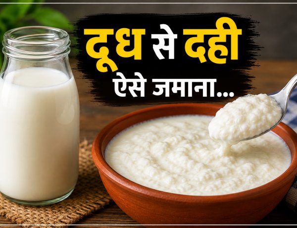 दूध को ऐसा जमाओगे तो दही बिल्कुल पीस में काटकर खाओगे...