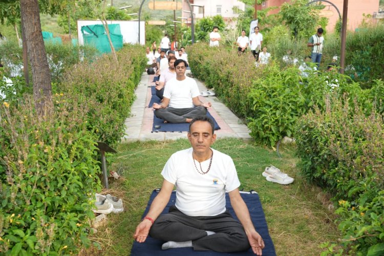 धन्वंतरि उपवन बना योग का केंद्र: 500 से अधिक चिकित्सक, विद्यार्थी और शोधार्थी योग साधना में हुए शामिल