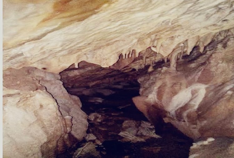बड़गाम की गुफा में उमड़ा श्रद्धा का सैलाब, आचार्य अभिनव गुप्त जयंती पर श्रद्धालुओं ने किया नमन